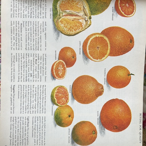 Reader's Digest Association
Reader's Digest Creative Cooking - Picture 3 of 4